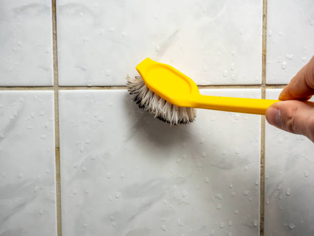 Best Home Mold Removal  in Hollister, CA